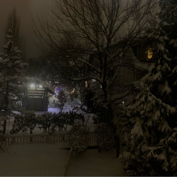 Meet your Posher, Athena - Picture 1 of 1